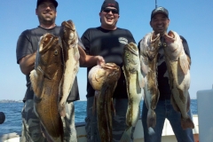 Local & Island Catches
