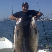 2012-05-20