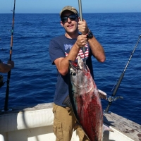 Tuna